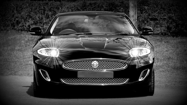 Leopardenmodus: elegante styles für selbstbewusste frauen