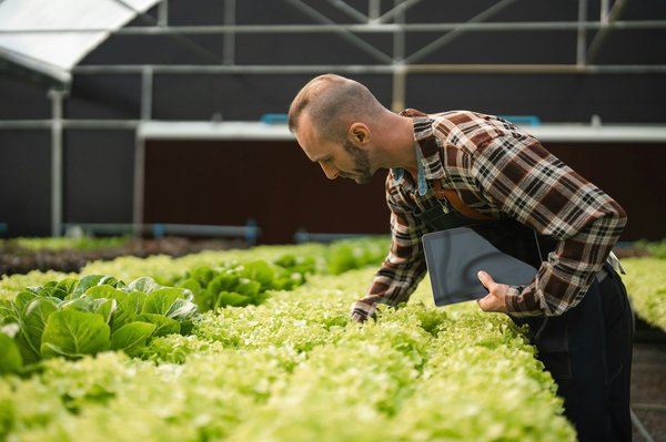 Kann die KI-gestützte Analyse von Wetterdaten zur Verbesserung der Agrartechnik beitragen?